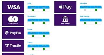 Zingo Bingo Payments